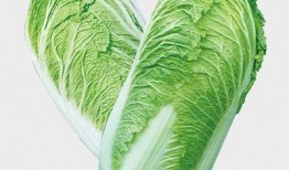 吉林大白菜爆料视频最新,揭秘视频背后的真相与争议