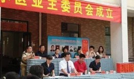 太原黑物业最新爆料,揭露惊人内幕，业主权益谁来守护？