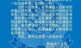 邯郸事件最新爆料信息,惊人内幕曝光，真相令人震惊！